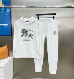 Picture of Burberry SweatSuits _SKUBurberryM-5XLkdtn15027552